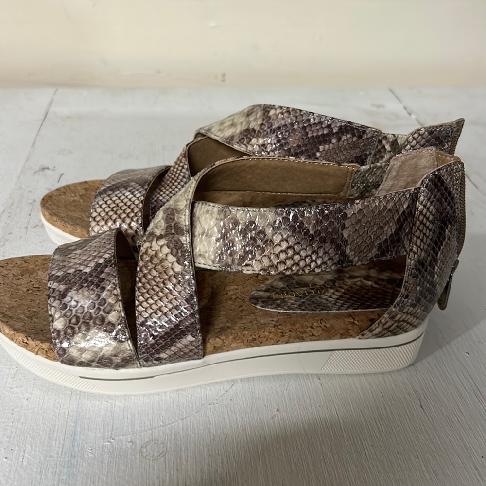 Adrienne vittadini shoes
